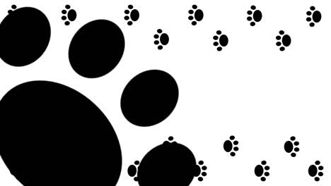 Paw-Transitions.-1080p---30-fps---Alpha-Channel-(1)